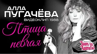 Алла ПУГАЧЕВА - Птица певчая [Official Video] HD Remastered /1988