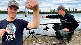 ZANDER Ansitz mit Köderfisch auf Grund | Deadbait Angeln im Sommer am See