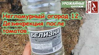 Негламурный огород-12. Обработка участка после томата, перца и баклажана: как это сделать правильно.