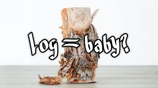 This woman confused her baby with a log for 18 years • Black Book Ep 3