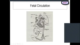 46th Basic online Course on Echocardiography, Congenital Heart Disease 22 1 23