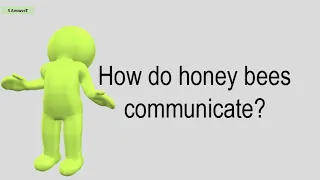 How Do Honey Bees Communicate?