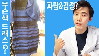 파검?파란드레스? 이 드레스 색깔의 진실은? (What color is the dress?)