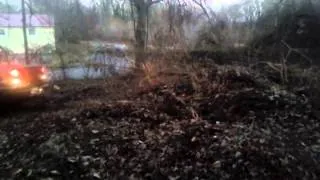 Jeff ripping trees out of the ground