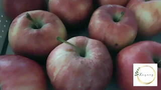 The Story of Kinnaur Kayang Apples from Himachal Pradesh - Himalayan Region to the world