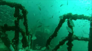 Mac's Reef and Lionfish -- Scuba diving in Panama City Beach, Florida