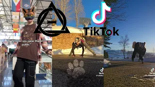 Therian and Quadrobics TikToks || Compilation 🐾🪱🪲|| Alterhumans of TikTok #77