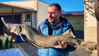 Huge Fish Cooking - Sturgeon Grill BBQ | GEORGY KAVKAZ