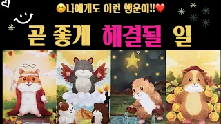 [타로]😊내 지금 상황 어떻게 해결될까?🌈🍀