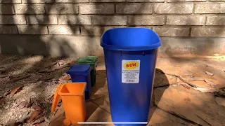 Trash, Recycle, and Organics Pickup With Mini Bins