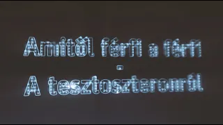 Mitől férfi a férfi? Kérdések és válaszok a tesztoszteronról és annak természetes fokozásáról.