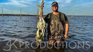 Wading Stump Flats For Mississippi Crappie