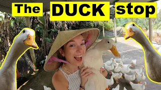 VIETNAMS BEST ATTRACTION? | 2023 | THE DUCK STOP Phong Nha