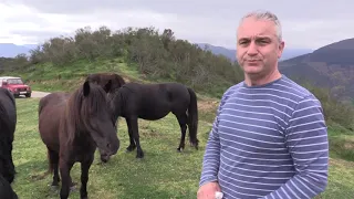 Ganaderos en su hábitat | Caballo Monchino | 3.5.2024