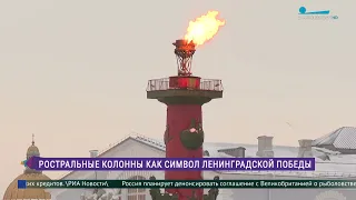 В Петербурге зажгли факелы Ростральных колонн