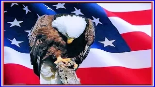 Brothers in Arms ღ Dire Straits * Memorial Day Tribute * View in 720p HD ღ