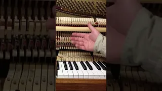 How to Fix a Sticking Piano Key (Part 2: Problems with the Action) | HOWARD PIANO INDUSTRIES