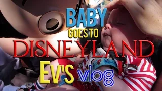 Baby Goes to Disneyland! - Evynne Hollens