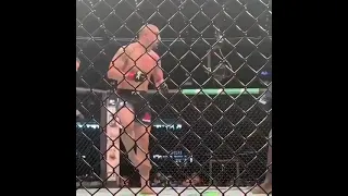 Whittaker headkicks Israel Adesanya  crowd reaction