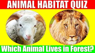 Animal Habitat Quiz | Animal Quiz for Kids, Preschoolers, and Kindergarten Toddlers