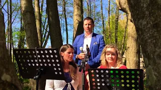 Bacher 3Xang - Stand by me (orig. Ben E. Kings) Trauung, Hochzeit, Standesamt, Kirche,