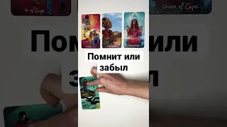 ПОМНИТ ИЛИ ЗАБЫЛ 🔮 #shorts онлайн гадание на картах таро сегодня его мысли вспоминает ли сейчас вас