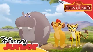 The Lion Guard | Season 2 Promo | Disney Junior Arabia