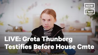 Greta Thunberg Testifies Before House Oversight Committee | LIVE