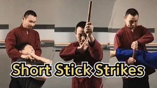 🈴 Hapkido Short Stick Strike Techniques | TaekwonWoo