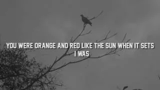 Passenger - Beautiful Birds (feat. Birdy) Lyrics