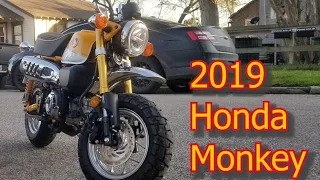 Хонда обезьяна 2019 ( Honda Monkey ) первые впечатления / обзор / test drive.