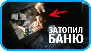 ЗАТОПИЛ БАНЮ. ДЕНЬ В ДЕРЕВНЕ. ЖИЗНЬ В ДЕРЕВНЕ