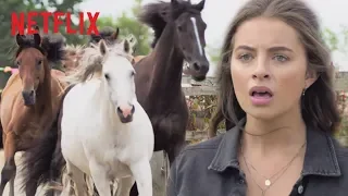 Wild Horse Stampede | Free Rein | Netflix After School