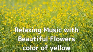 "Relaxing Music with Beautiful Flowers"