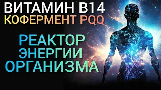 Твоя Энергия l Витамин В14 PQQ l Как восполнить l Мозг Холестерин СД2типа Печень Почки PQQ-Benefits