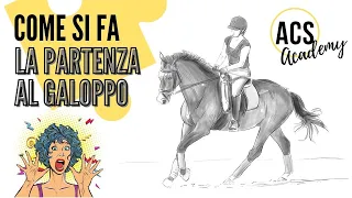 EQUITAZIONE: COME SI FA LA PARTENZA AL GALOPPO