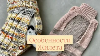 Жилет для собаки