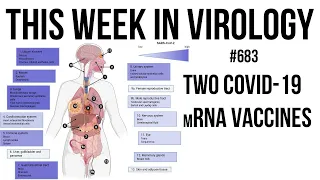TWiV 683: Two COVID-19 mRNA vaccines