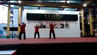 Chen Taijiquan Laojia Erlu