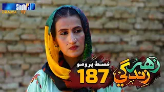 Zahar Zindagi - Ep 187 Promo | Sindh TV Soap Serial | SindhTVHD Drama