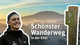 Schönster Wanderweg in der Eifel – Der Waldretter-Trail