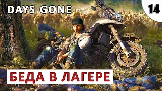 DAYS GONE (ПРОХОЖДЕНИЕ) #14 - БЕДА В ЛАГЕРЕ