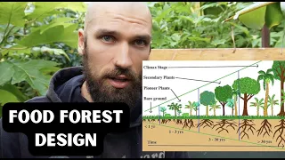 the ONLY Food Forest video you need to watch in 2023 (syntropic agroforestry) / NZ