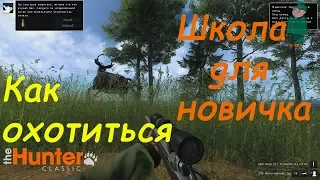 theHunter Classic. Гайд-охота для новичков.