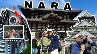 JAPAN VLOG - Nara Park, Osaka Castle & Umeda Sky Building