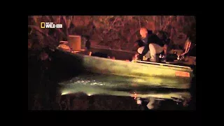 Crocodiles of the Nile River   National Geographic HD