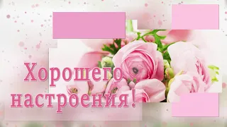 🌿💝Доброго дня! Хорошего настроения! Позитива!!!🌿💝 4К Красивое анимационное пожелание