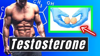 UNDENIABLE Facts About Testosterone (you didn't know about)