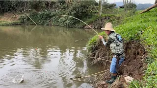 Custei achar elas mas encontrei, pescaria de tilápias e traíra bruta no rio!