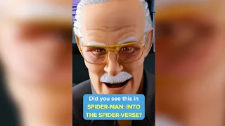 Did you see this in SPIDER-MAN: INTO THE SPIDER-VERSE